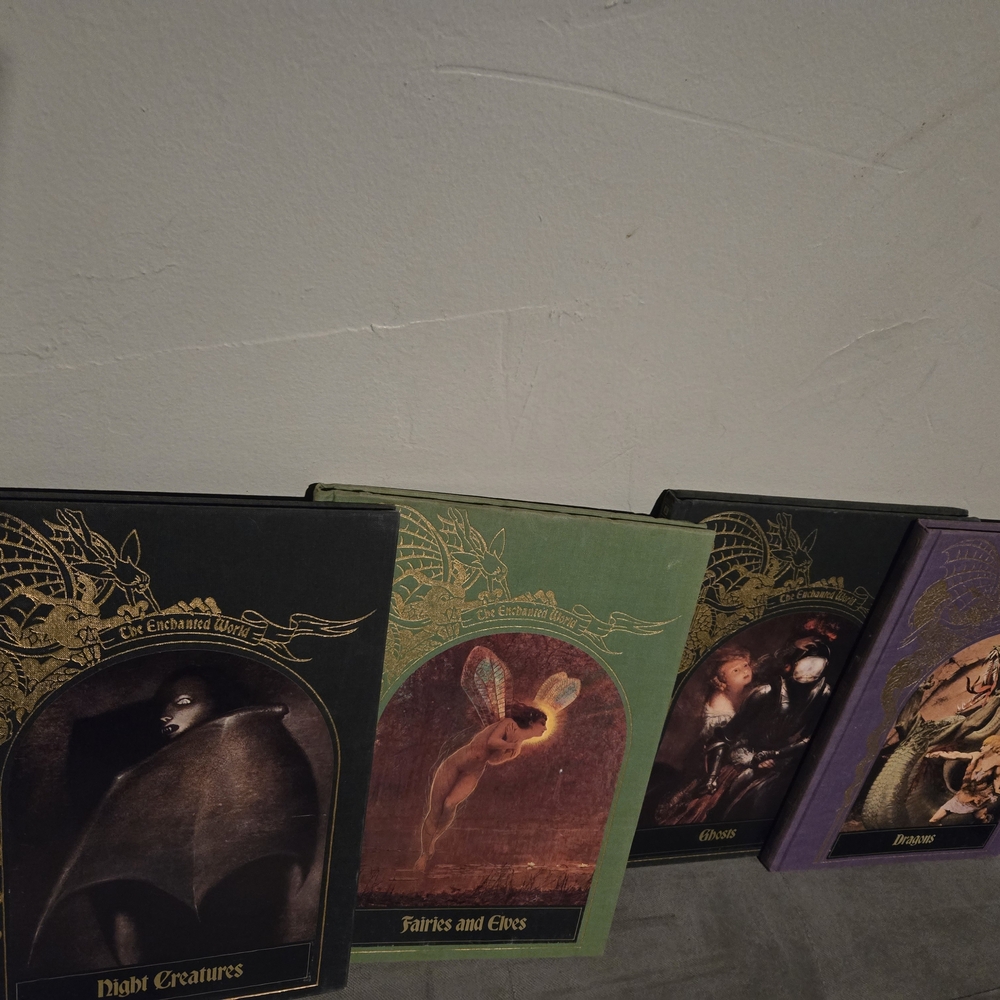 The Enchanted Work 4 Books Box  Black, Green, Purple Covers